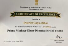 certifate image