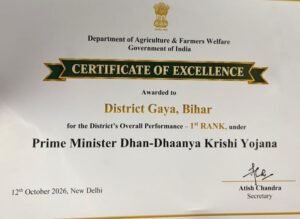 certifate image