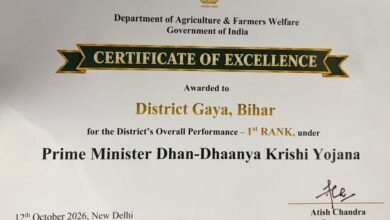 certifate image
