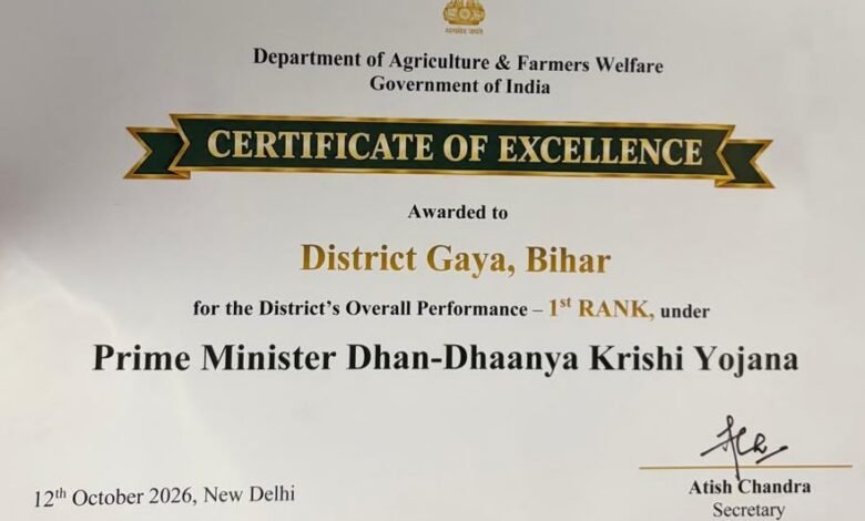 certifate image